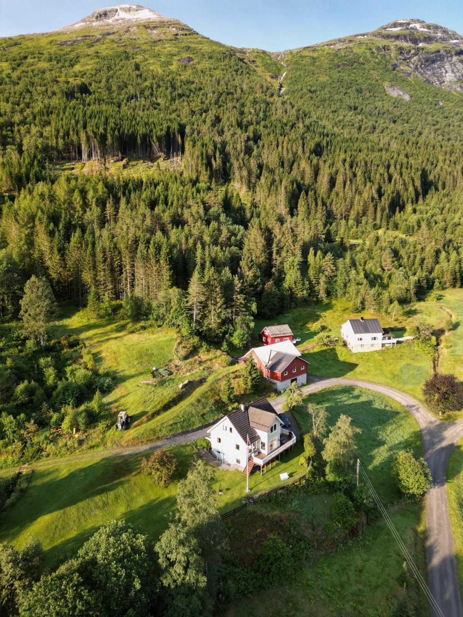Dispen Stryn