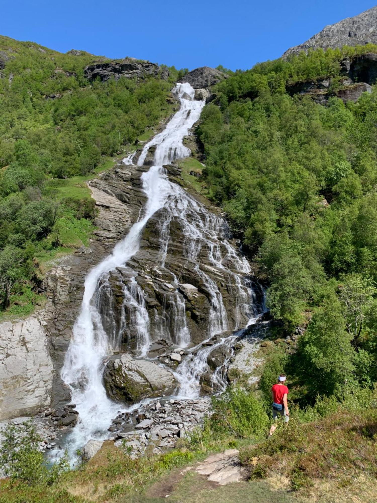 Dispen Stryn
